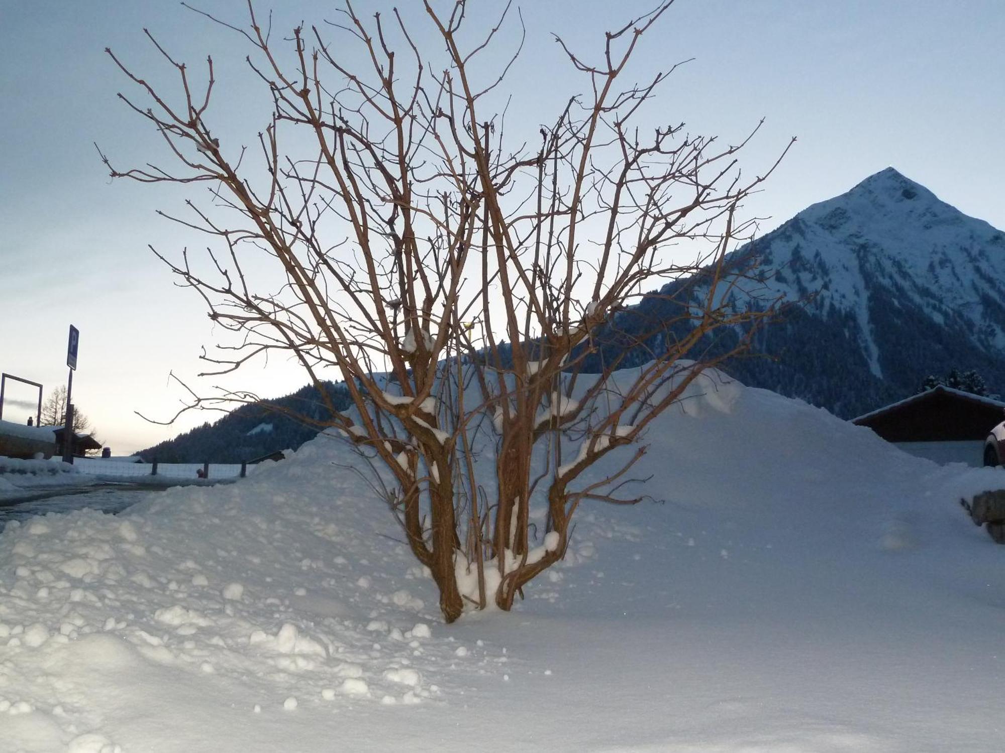 Hotel Restaurant Sunnmatt Aeschi Bei Spiez エクステリア 写真
