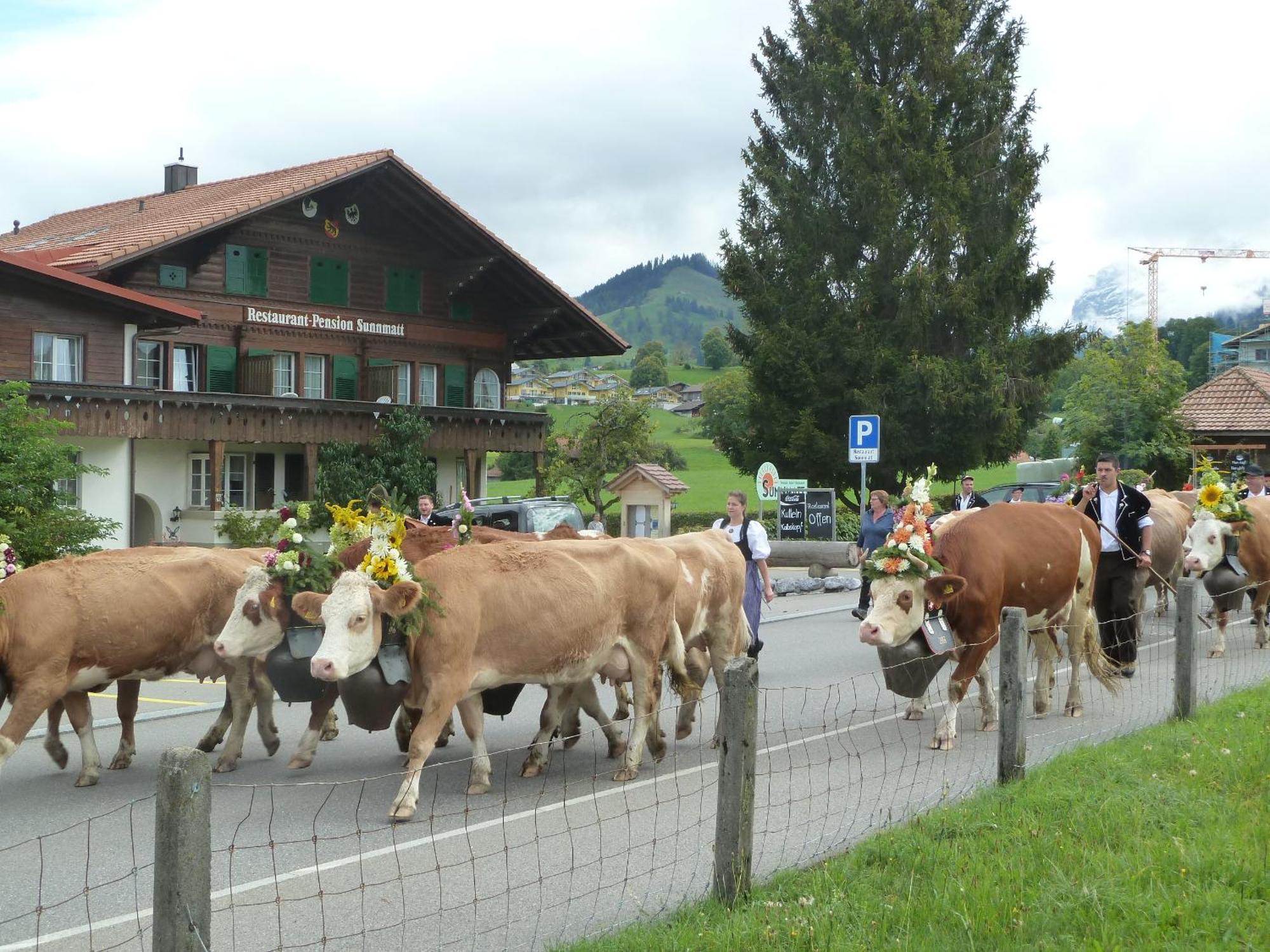 Hotel Restaurant Sunnmatt Aeschi Bei Spiez エクステリア 写真