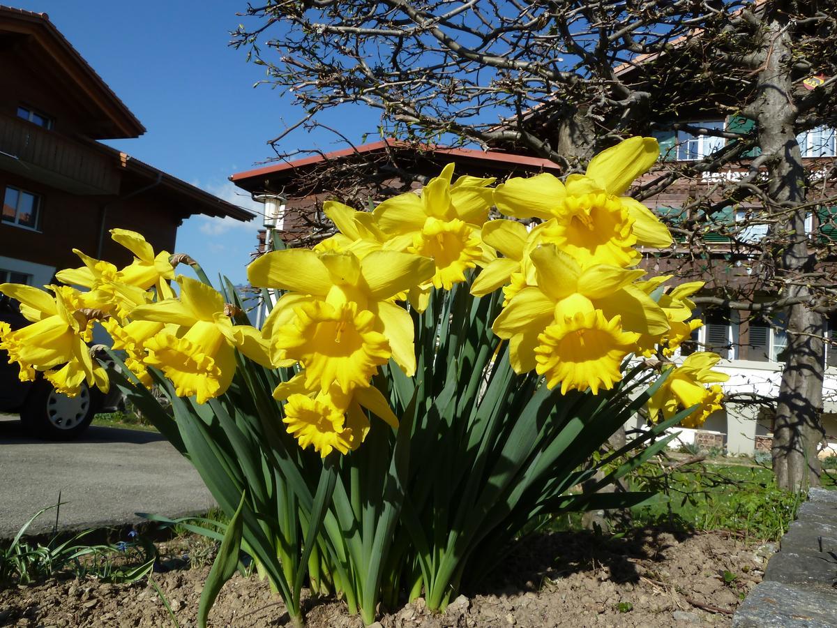 Hotel Restaurant Sunnmatt Aeschi Bei Spiez エクステリア 写真